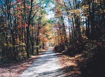 trail1
