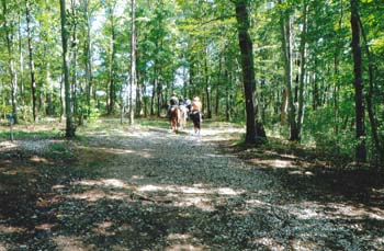 trailwithriders