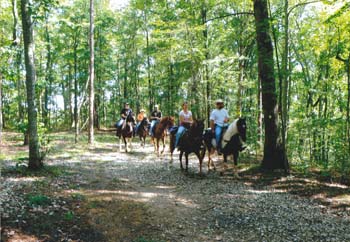 trailwithriders2