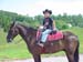 5th Generation Horseman