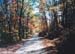 trail1