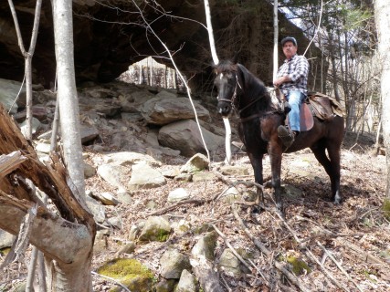 Red Hill Horse Camp - Photos